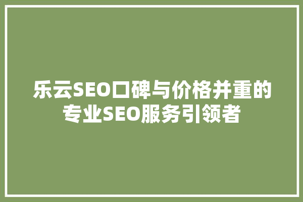 乐云SEO口碑与价格并重的专业SEO服务引领者 绘影字幕