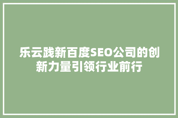 乐云践新百度SEO公司的创新力量引领行业前行