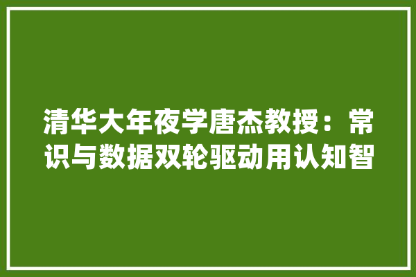 清华大年夜学唐杰教授：常识与数据双轮驱动用认知智能洞悉技能未来_人工智能_技巧 智能问答