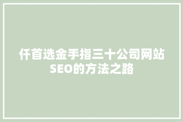 仟首选金手指三十公司网站SEO的方法之路