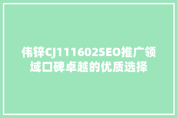 伟锌CJ111602SEO推广领域口碑卓越的优质选择 云服务