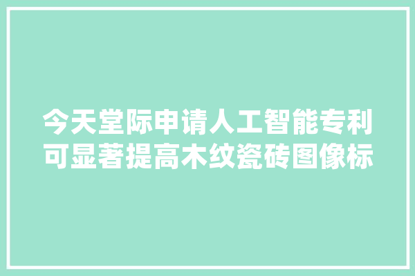 今天堂际申请人工智能专利可显著提高木纹瓷砖图像标注的效率和准确性_瓷砖_木纹 绘影字幕