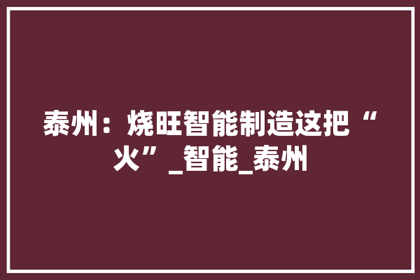 泰州：烧旺智能制造这把“火”_智能_泰州 绘影字幕