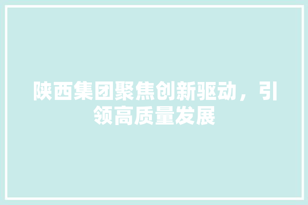 陕西集团聚焦创新驱动，引领高质量发展