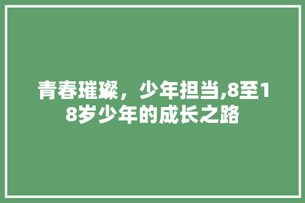 青春璀璨，少年担当,8至18岁少年的成长之路