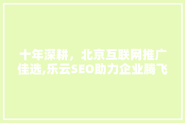 十年深耕，北京互联网推广佳选,乐云SEO助力企业腾飞