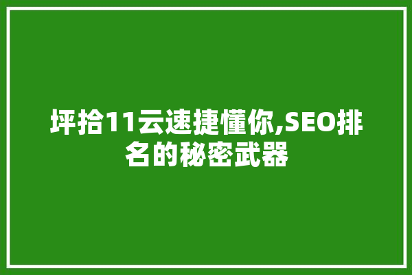 坪拾11云速捷懂你,SEO排名的秘密武器