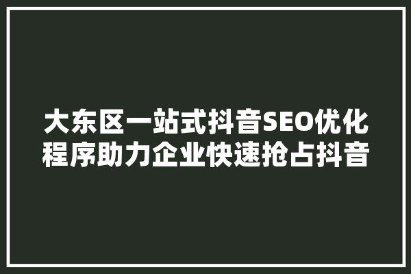 大东区一站式抖音SEO优化程序助力企业快速抢占抖音流量高地 计算机
