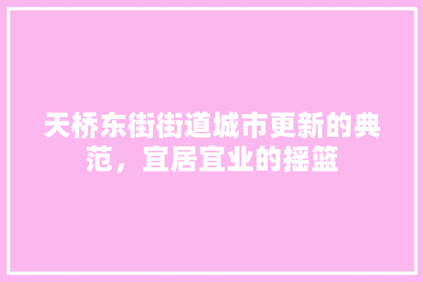 天桥东街街道城市更新的典范，宜居宜业的摇篮