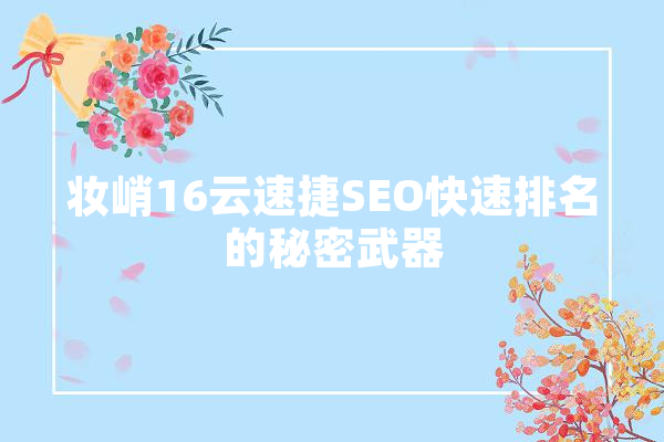 妆峭16云速捷SEO快速排名的秘密武器
