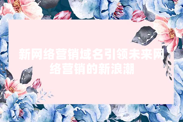 新网络营销域名引领未来网络营销的新浪潮