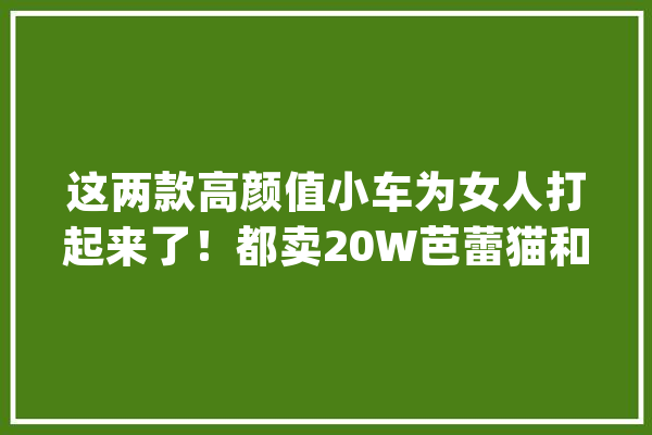 这两款高颜值小车为女人打起来了！都卖20W芭蕾猫和smart谁更喷鼻香_芭蕾_精灵 智能问答