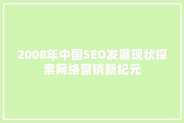 2008年中国SEO发展现状探索网络营销新纪元