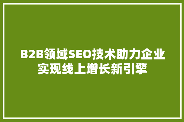 B2B领域SEO技术助力企业实现线上增长新引擎