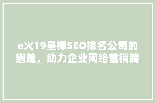 e火19星棒SEO排名公司的翘楚，助力企业网络营销腾飞