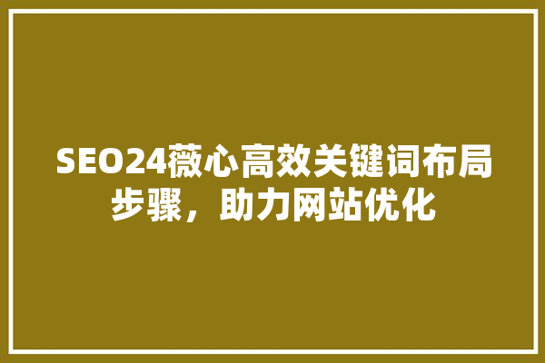 SEO24薇心高效关键词布局步骤，助力网站优化