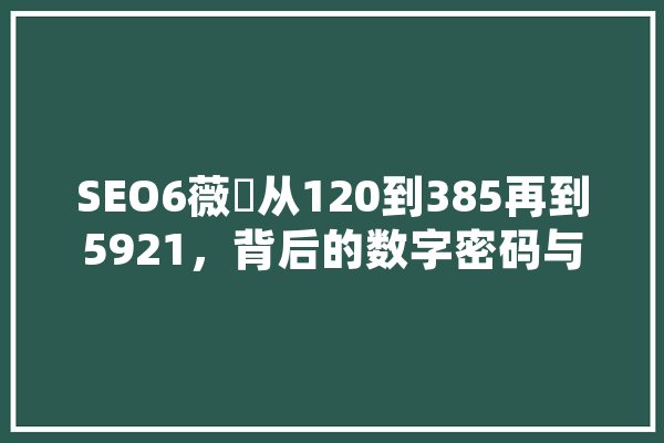 SEO6薇鈊从120到385再到5921，背后的数字密码与网络营销奥秘