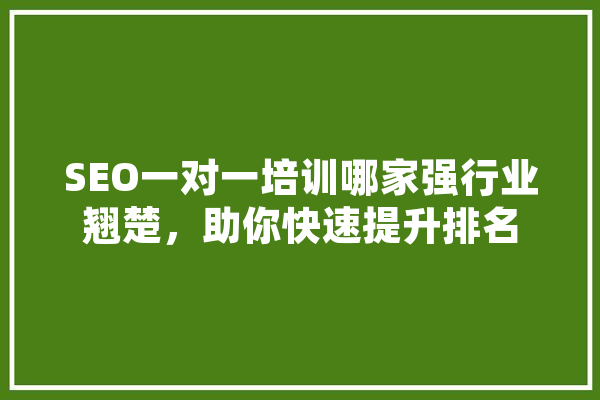 SEO一对一培训哪家强行业翘楚，助你快速提升排名