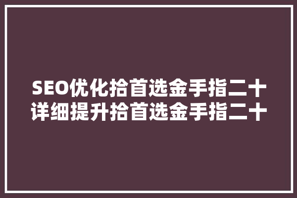 SEO优化拾首选金手指二十详细提升拾首选金手指二十网站排名的步骤