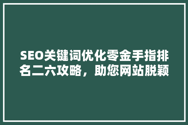 SEO关键词优化零金手指排名二六攻略，助您网站脱颖而出
