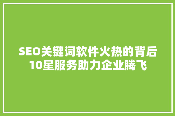 SEO关键词软件火热的背后10星服务助力企业腾飞 文字写作