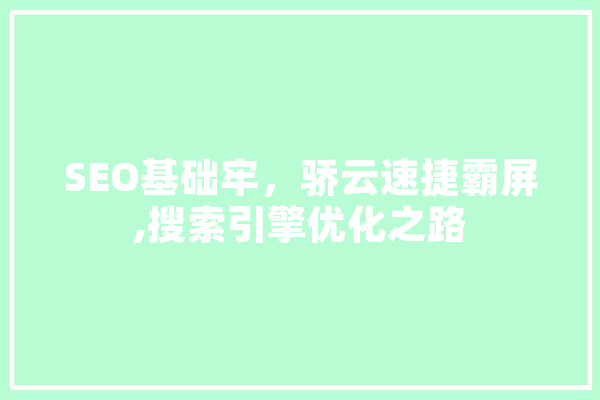 SEO基础牢，骄云速捷霸屏,搜索引擎优化之路
