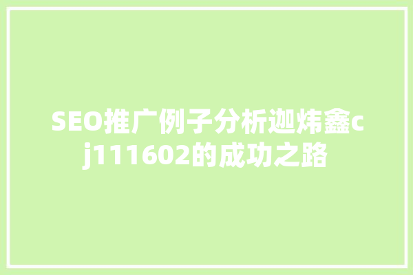 SEO推广例子分析迦炜鑫cj111602的成功之路