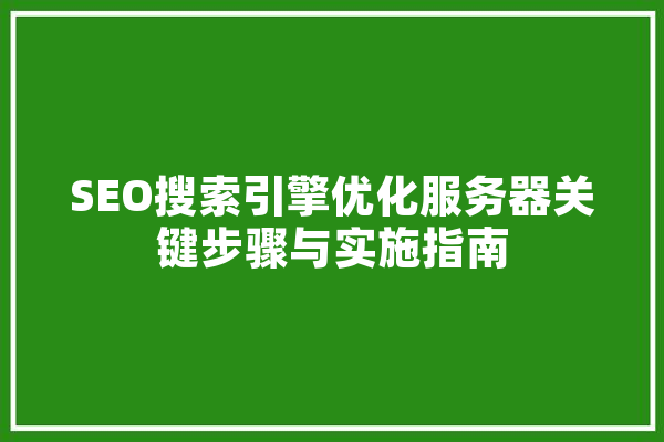 SEO搜索引擎优化服务器关键步骤与实施指南