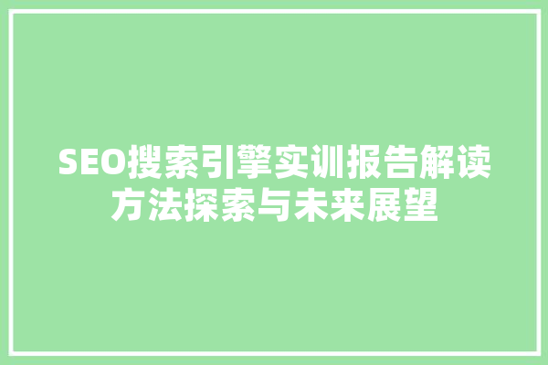 SEO搜索引擎实训报告解读方法探索与未来展望