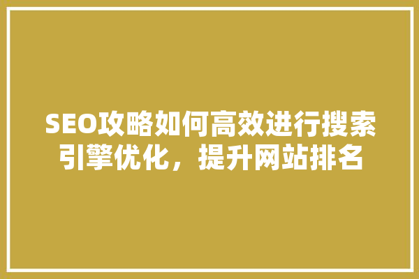SEO攻略如何高效进行搜索引擎优化，提升网站排名