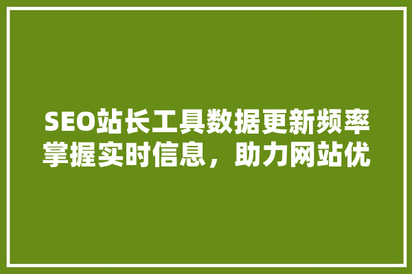 SEO站长工具数据更新频率掌握实时信息，助力网站优化 智能问答