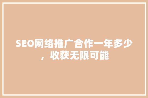 SEO网络推广合作一年多少，收获无限可能
