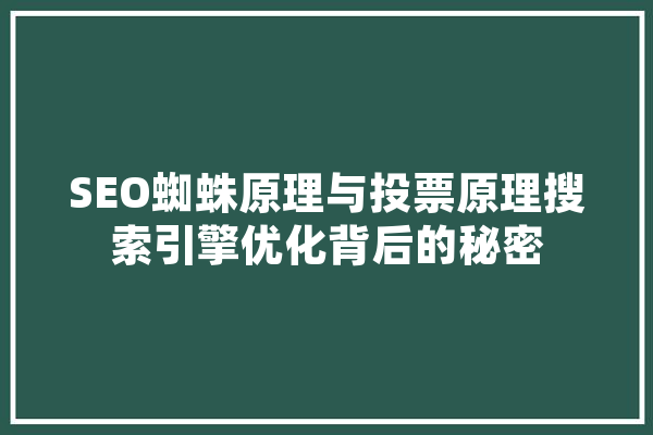 SEO蜘蛛原理与投票原理搜索引擎优化背后的秘密