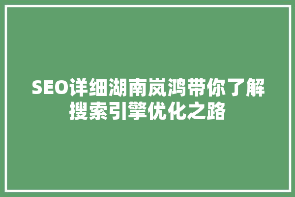 SEO详细湖南岚鸿带你了解搜索引擎优化之路 智能助手