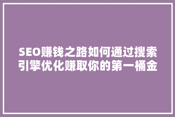 SEO赚钱之路如何通过搜索引擎优化赚取你的第一桶金 计算机