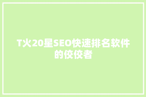 T火20星SEO快速排名软件的佼佼者 科技快讯