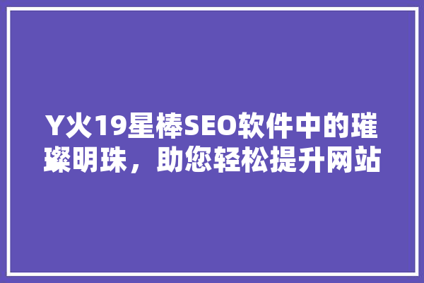 Y火19星棒SEO软件中的璀璨明珠，助您轻松提升网站排名