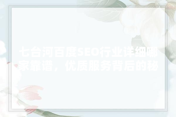 七台河百度SEO行业详细哪家靠谱，优质服务背后的秘密
