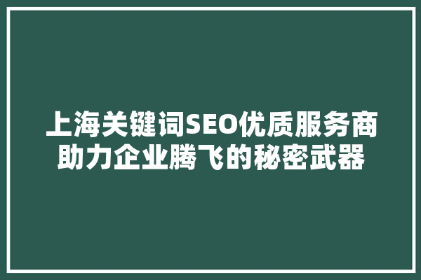上海关键词SEO优质服务商助力企业腾飞的秘密武器