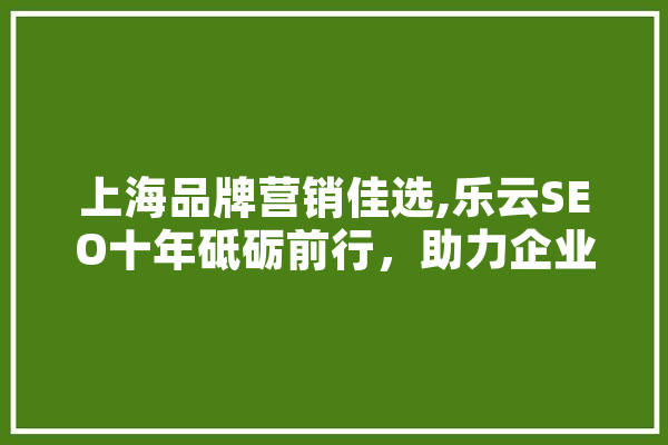 上海品牌营销佳选,乐云SEO十年砥砺前行，助力企业腾飞