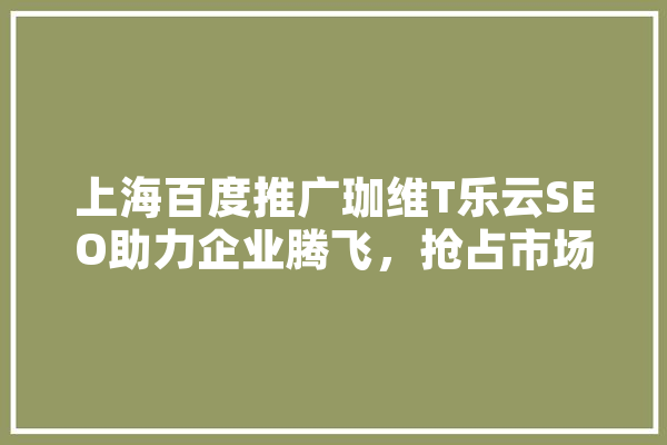 上海百度推广珈维T乐云SEO助力企业腾飞，抢占市场先机