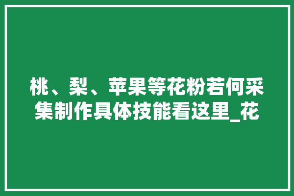 桃、梨、苹果等花粉若何采集制作具体技能看这里_花药_花粉 计算机