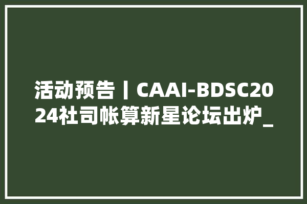 活动预告丨CAAI-BDSC2024社司帐算新星论坛出炉_新星_摘要 云服务