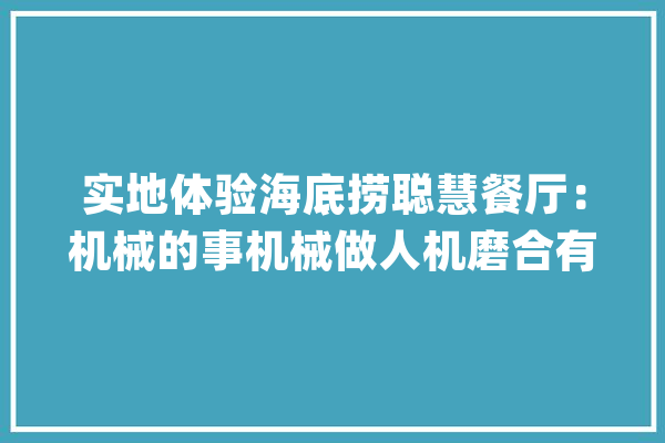实地体验海底捞聪慧餐厅：机械的事机械做人机磨合有待提高_海底_聪明 智能助手