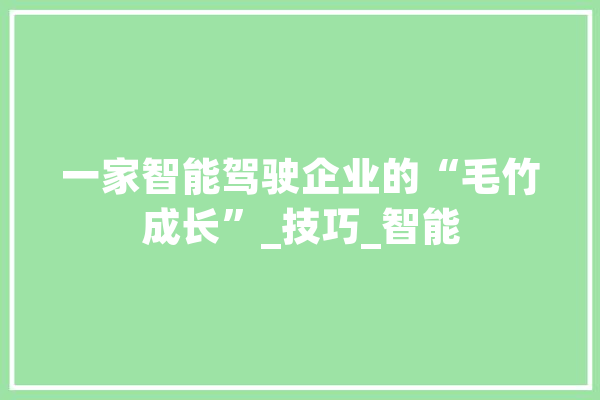 一家智能驾驶企业的“毛竹成长”_技巧_智能