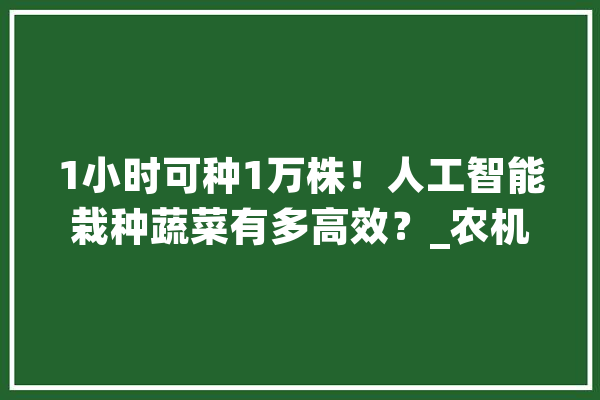 1小时可种1万株！人工智能栽种蔬菜有多高效？_农机_蔬菜