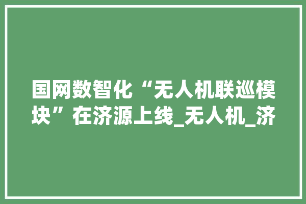 国网数智化“无人机联巡模块”在济源上线_无人机_济源