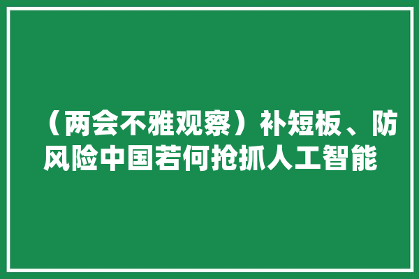 （两会不雅观察）补短板、防风险中国若何抢抓人工智能机遇_人工智能_模子