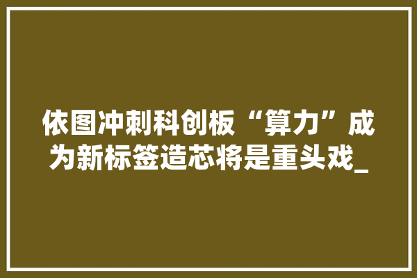 依图冲刺科创板“算力”成为新标签造芯将是重头戏_亿元_芯片 文字写作