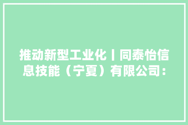 推动新型工业化丨同泰怡信息技能（宁夏）有限公司：向实共生 深度赋能 打造中国宁夏智算家当新高地_人工智能_宁夏